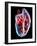 Human Heart, Artwork-Roger Harris-Framed Photographic Print