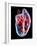 Human Heart, Artwork-Roger Harris-Framed Photographic Print