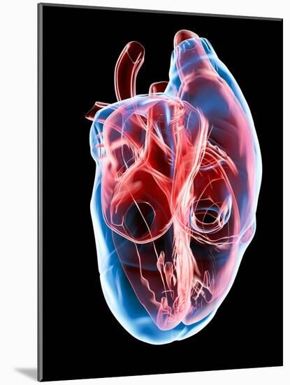 Human Heart, Artwork-Roger Harris-Mounted Photographic Print