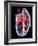 Human Heart, Artwork-Roger Harris-Framed Photographic Print