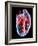 Human Heart, Artwork-Roger Harris-Framed Photographic Print