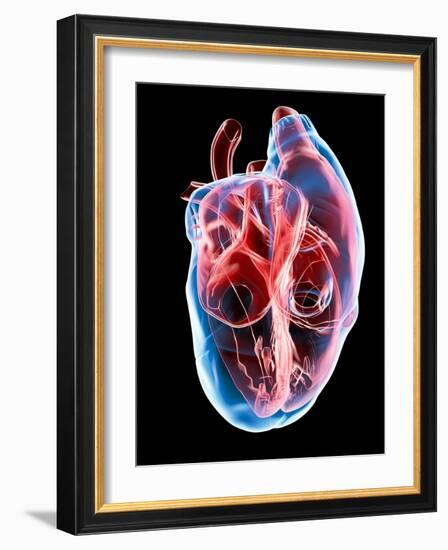 Human Heart, Artwork-Roger Harris-Framed Photographic Print