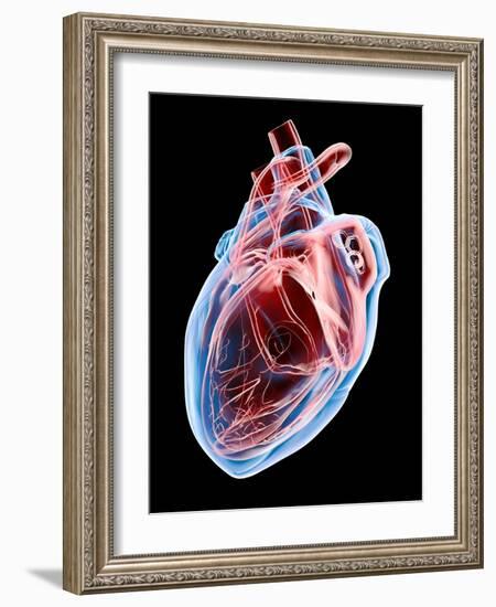 Human Heart, Artwork-Roger Harris-Framed Photographic Print