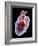 Human Heart, Artwork-Roger Harris-Framed Photographic Print