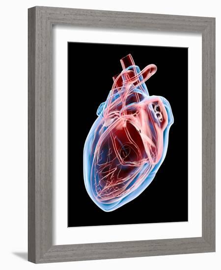 Human Heart, Artwork-Roger Harris-Framed Photographic Print