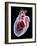 Human Heart, Artwork-Roger Harris-Framed Photographic Print