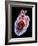 Human Heart, Artwork-Roger Harris-Framed Photographic Print