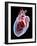 Human Heart, Artwork-Roger Harris-Framed Photographic Print