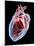 Human Heart, Artwork-Roger Harris-Mounted Photographic Print