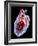 Human Heart, Artwork-Roger Harris-Framed Photographic Print