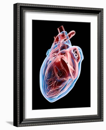 Human Heart, Artwork-Roger Harris-Framed Photographic Print