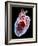 Human Heart, Artwork-Roger Harris-Framed Photographic Print