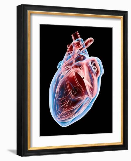 Human Heart, Artwork-Roger Harris-Framed Photographic Print