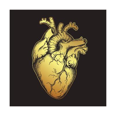 'Human Heart of Gold. Anatomically Correct Hand Drawn Line Art and Dotwork Flash Tattoo or Print ...