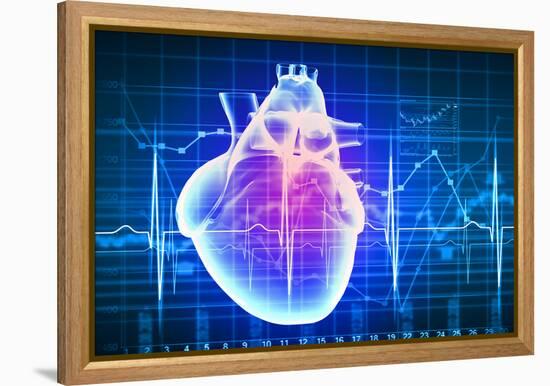 Human Heart with Cardiogram-Sergey Nivens-Framed Stretched Canvas