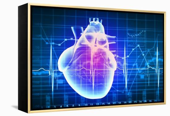 Human Heart with Cardiogram-Sergey Nivens-Framed Stretched Canvas