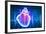 Human Heart with Cardiogram-Sergey Nivens-Framed Art Print