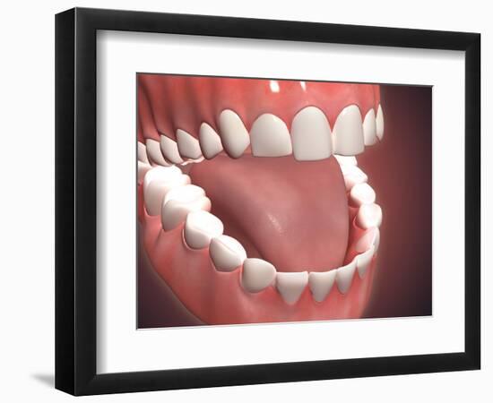 Art Print, , large