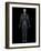 Human Nervous System, Artwork-SCIEPRO-Framed Photographic Print