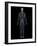 Human Nervous System, Artwork-SCIEPRO-Framed Photographic Print