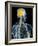 Human Nervous System, Artwork-SCIEPRO-Framed Photographic Print