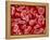 Human Red blood cells-Micro Discovery-Framed Premier Image Canvas