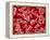 Human Red blood cells-Micro Discovery-Framed Premier Image Canvas