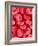 Human Red Blood Cells-Micro Discovery-Framed Photographic Print