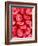 Human Red Blood Cells-Micro Discovery-Framed Photographic Print