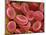 Human Red Blood Cells-Micro Discovery-Mounted Photographic Print