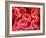 Human Red Blood Cells-Micro Discovery-Framed Photographic Print