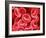 Human Red Blood Cells-Micro Discovery-Framed Photographic Print