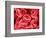 Human Red Blood Cells-Micro Discovery-Framed Photographic Print