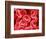 Human Red Blood Cells-Micro Discovery-Framed Photographic Print