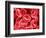 Human Red Blood Cells-Micro Discovery-Framed Photographic Print