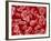 Human Red blood cells-Micro Discovery-Framed Photographic Print