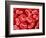 Human Red blood cells-Micro Discovery-Framed Photographic Print