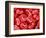 Human Red blood cells-Micro Discovery-Framed Photographic Print