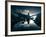 Human Scale II-David Keochkerian-Framed Giclee Print