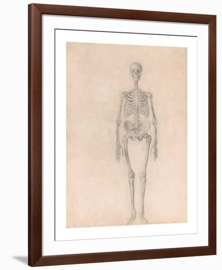 Human Skeleton, Anterior View-George Stubbs-Framed Premium Giclee Print