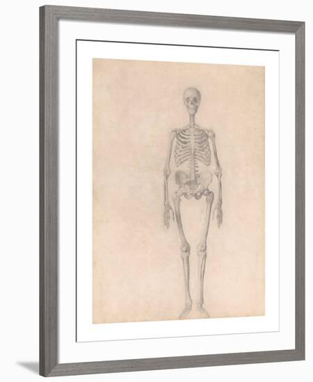 Human Skeleton, Anterior View-George Stubbs-Framed Premium Giclee Print