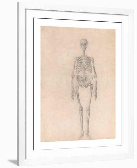 Human Skeleton, Anterior View-George Stubbs-Framed Premium Giclee Print