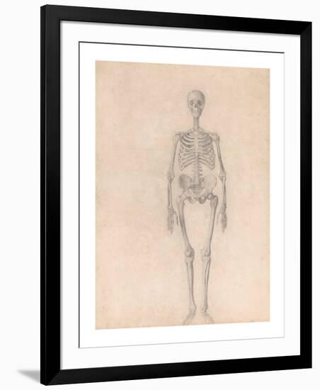 Human Skeleton, Anterior View-George Stubbs-Framed Premium Giclee Print