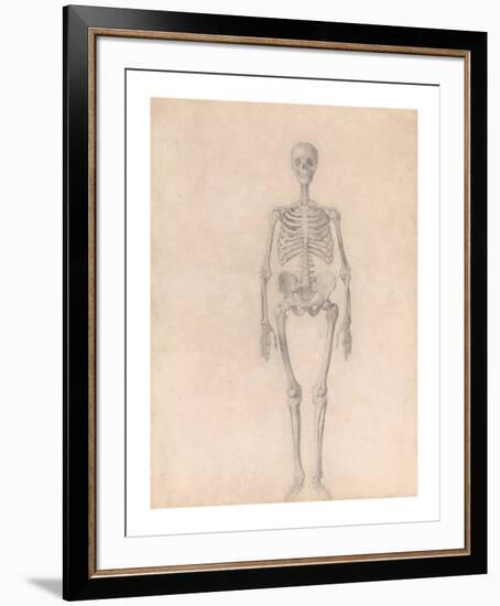 Human Skeleton, Anterior View-George Stubbs-Framed Premium Giclee Print