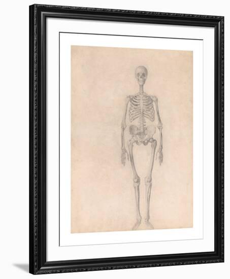 Human Skeleton, Anterior View-George Stubbs-Framed Premium Giclee Print