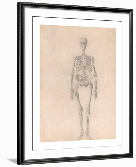 Human Skeleton, Anterior View-George Stubbs-Framed Premium Giclee Print