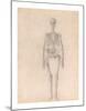 Human Skeleton, Anterior View-George Stubbs-Mounted Premium Giclee Print