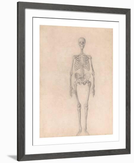 Human Skeleton, Anterior View-George Stubbs-Framed Premium Giclee Print