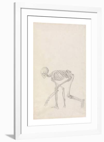 Human Skeleton, Lateral View (In Crouching Position)-George Stubbs-Framed Premium Giclee Print