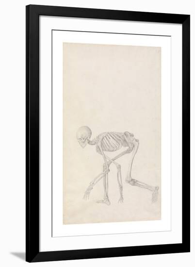 Human Skeleton, Lateral View (In Crouching Position)-George Stubbs-Framed Premium Giclee Print